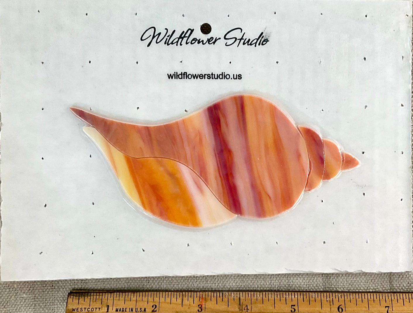 Kit - Conch Shell- COE 90