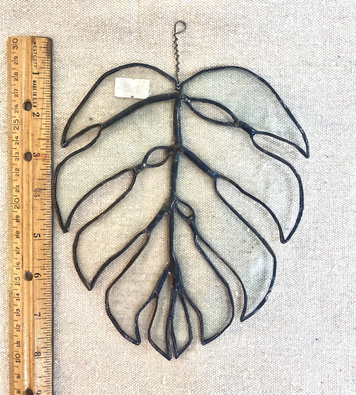 Kit - Monstera