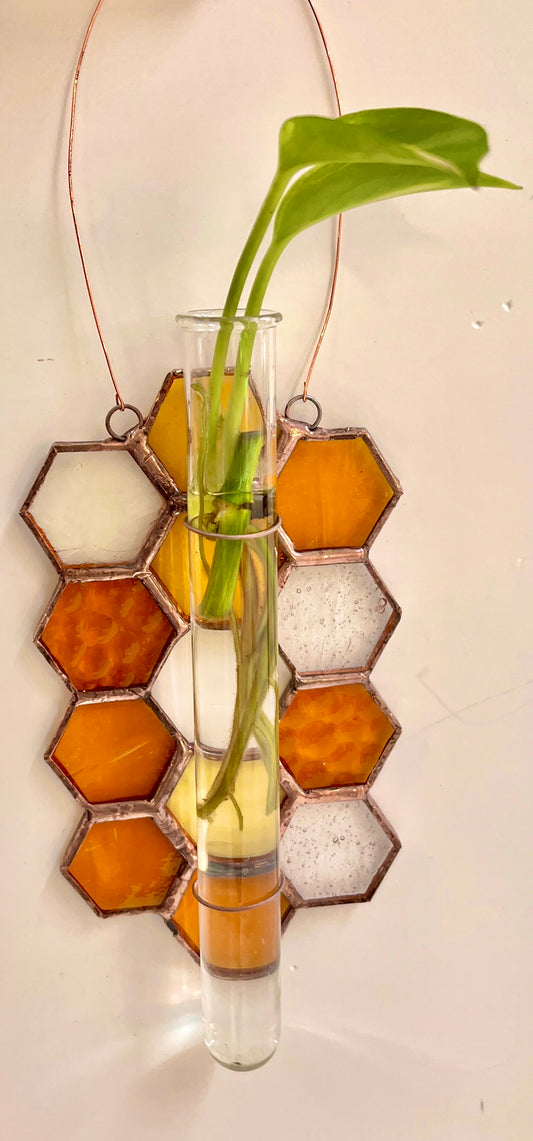 8/28/26- Honeycomb Propagation Station (with a Pothos start!) 6p-8:30p