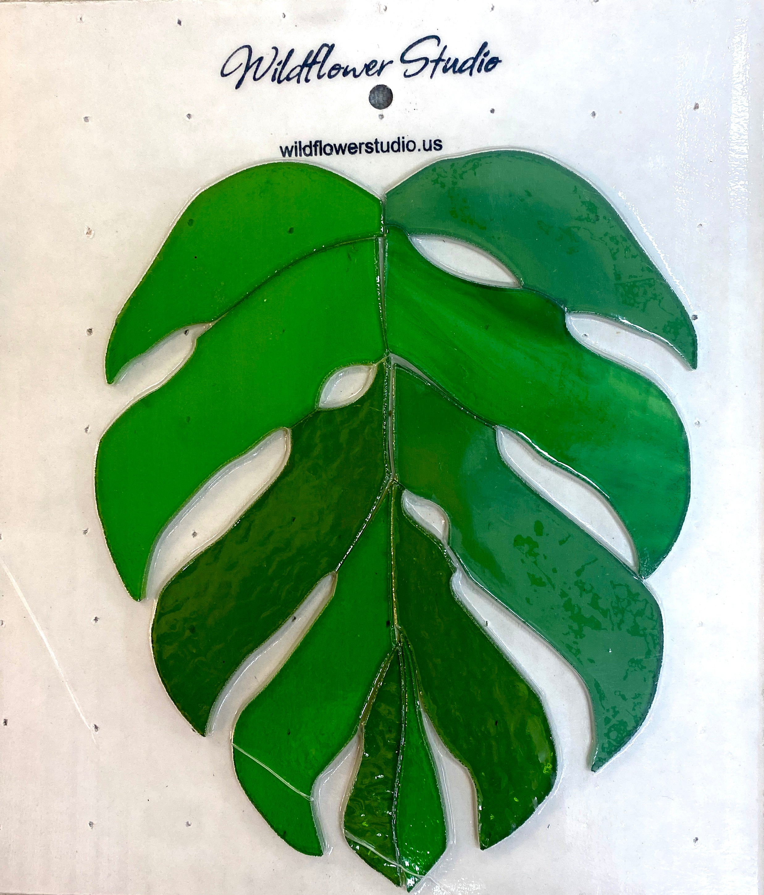 cb2 monstera leaf Kit