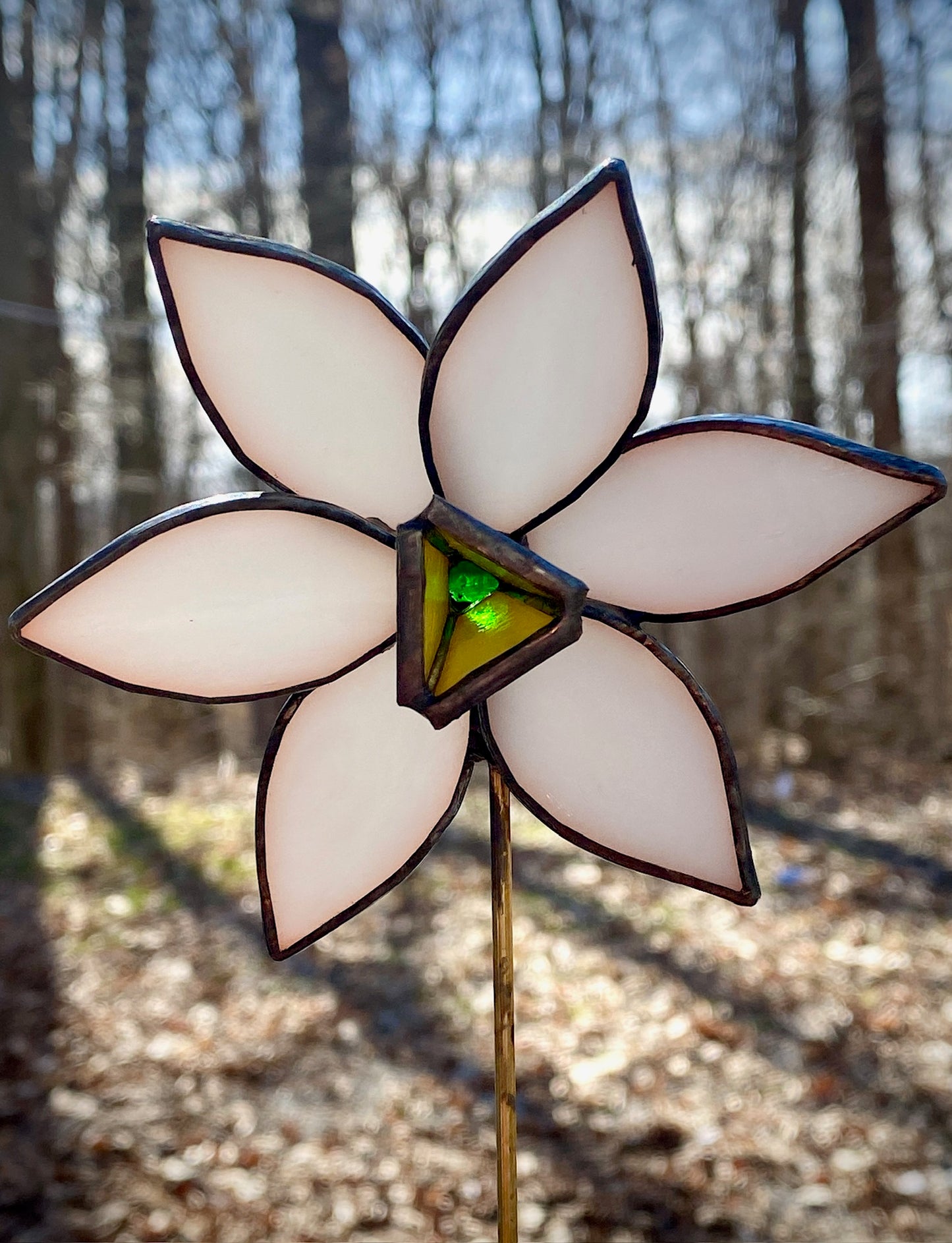 3D Flower of The Month Subscription