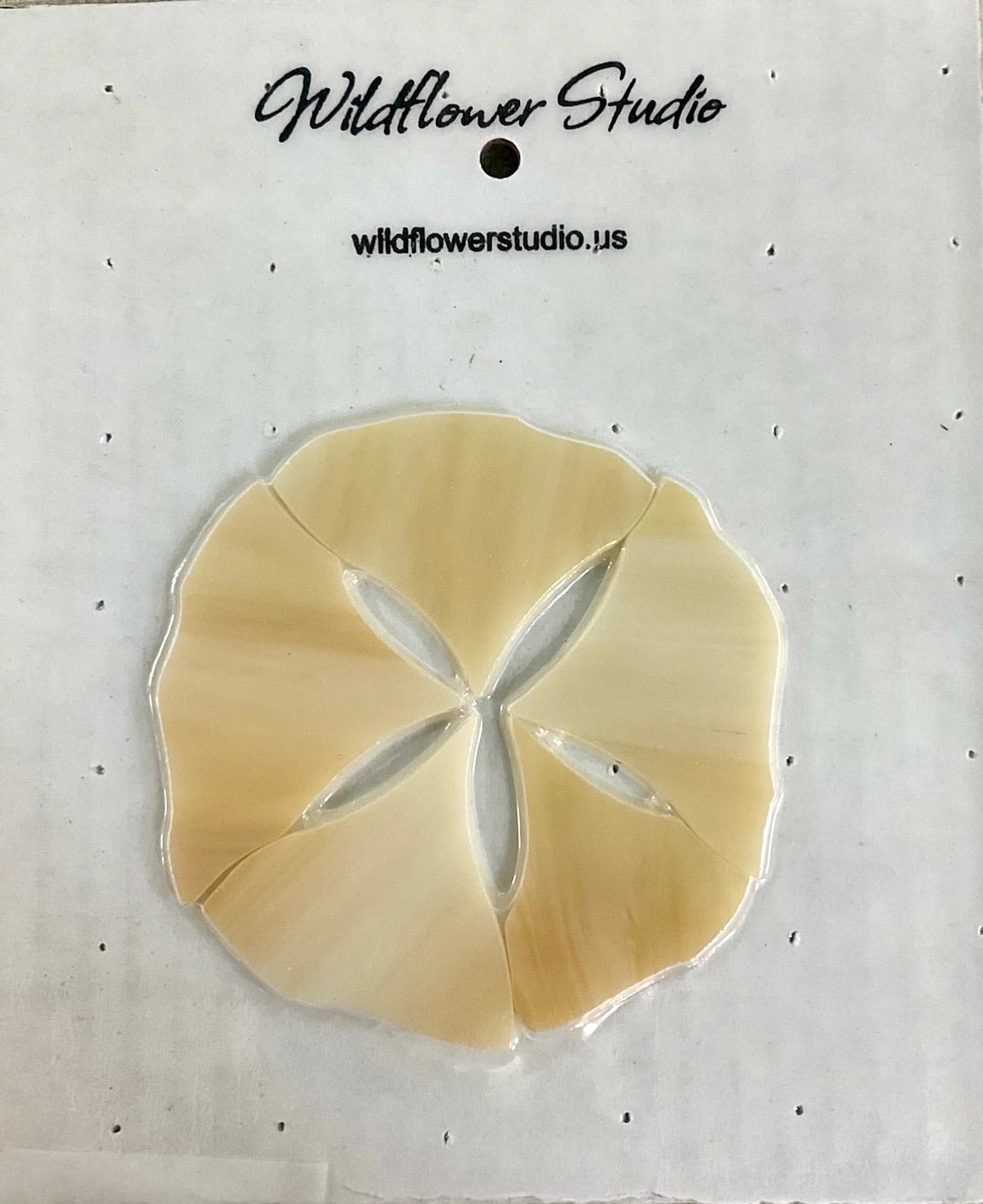 Sand Dollar