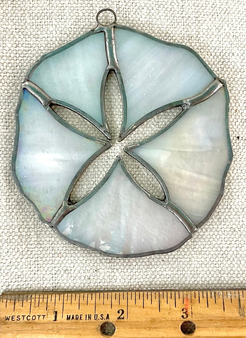 Sand Dollar