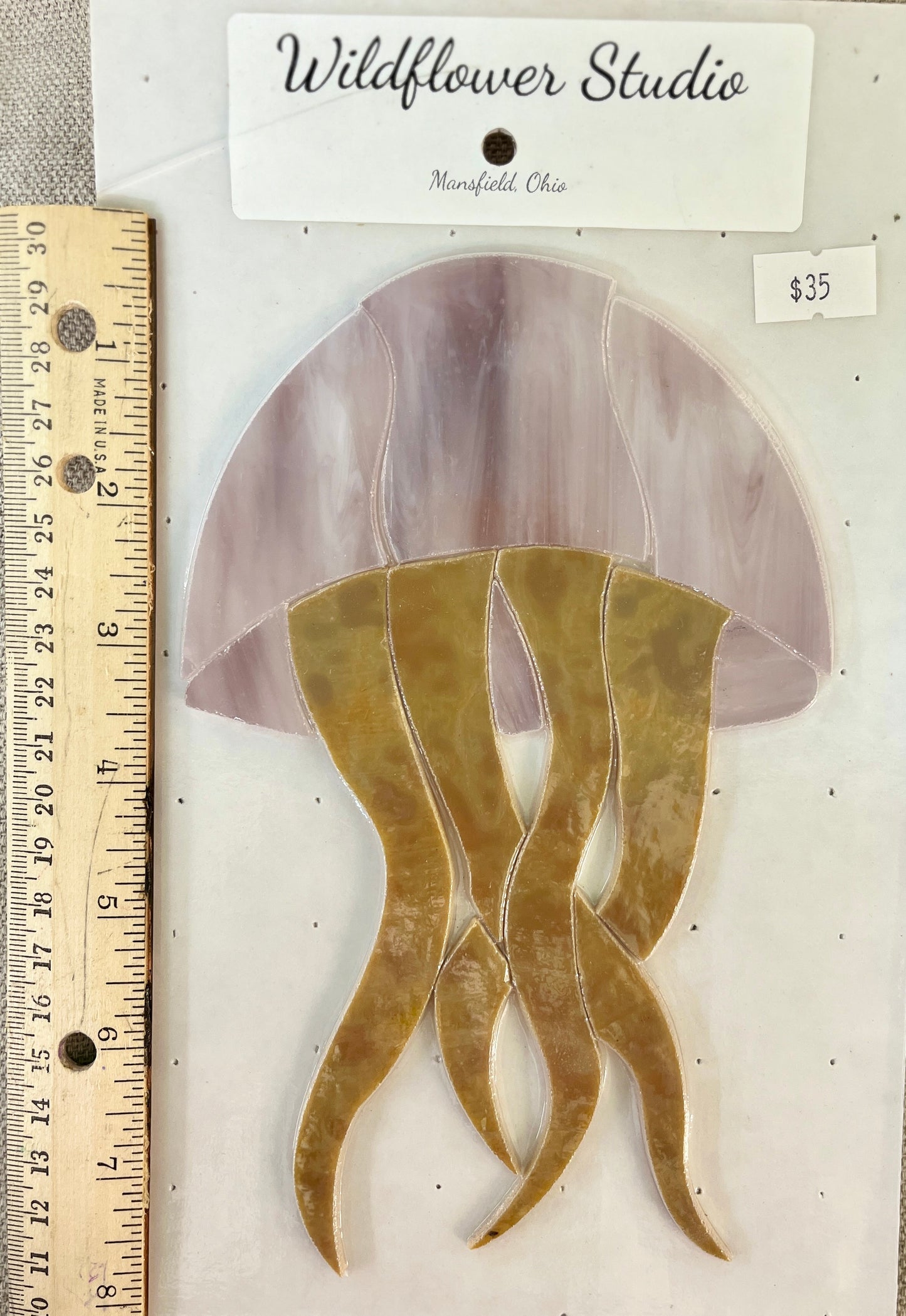 KIT-Jellyfish