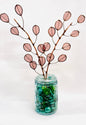 Saturday September 13th:Nature Club September: Eucalyptus 10a-12:30p