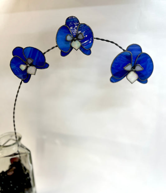 Nature Club Class: December 13th 10am-1p