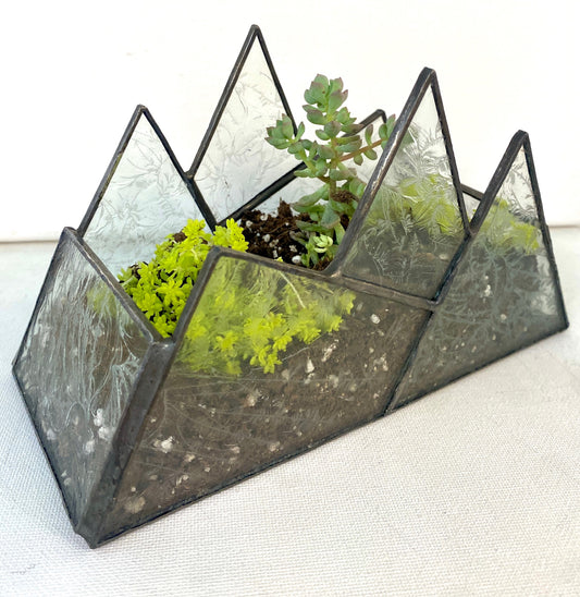 Terrarium