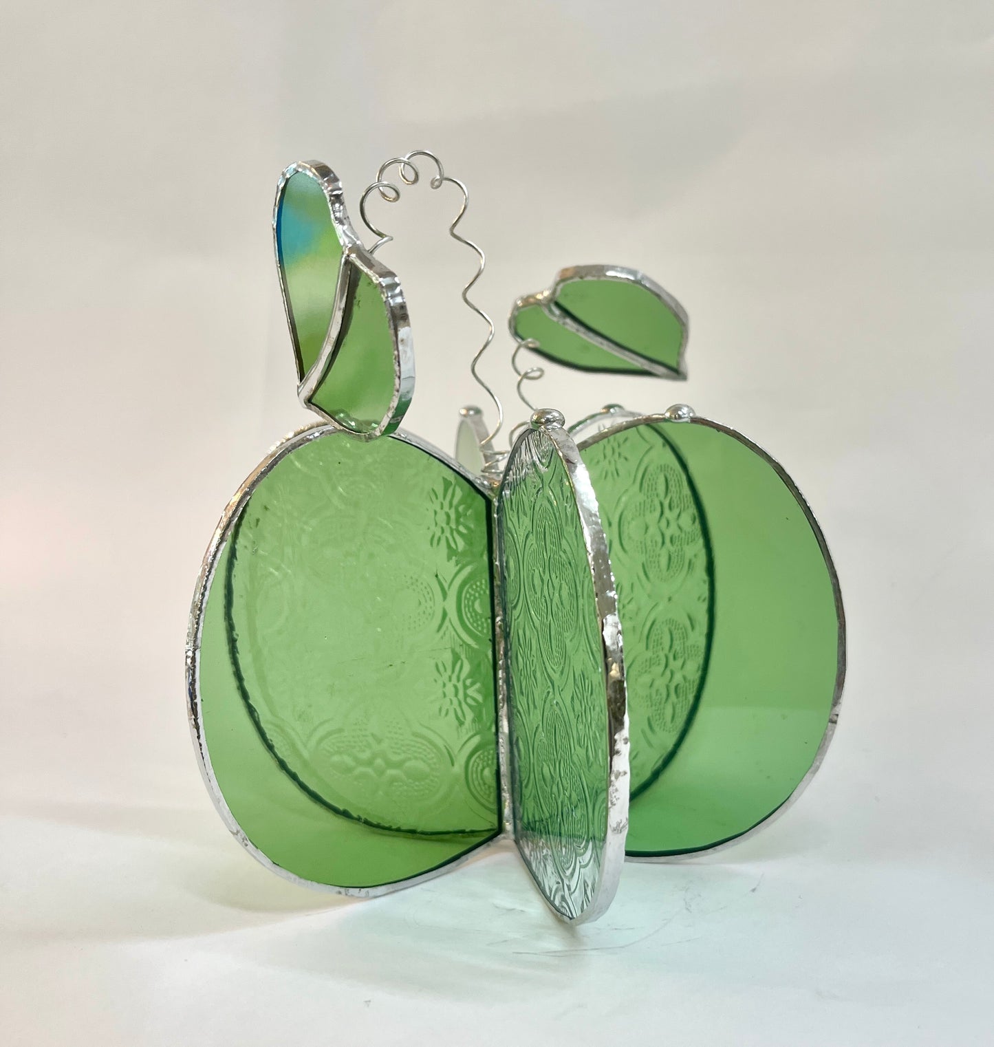 Nature Club Class: November 8th 10am-12pm