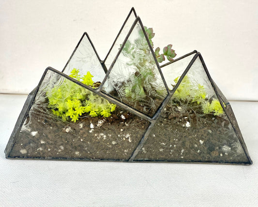 Terrarium