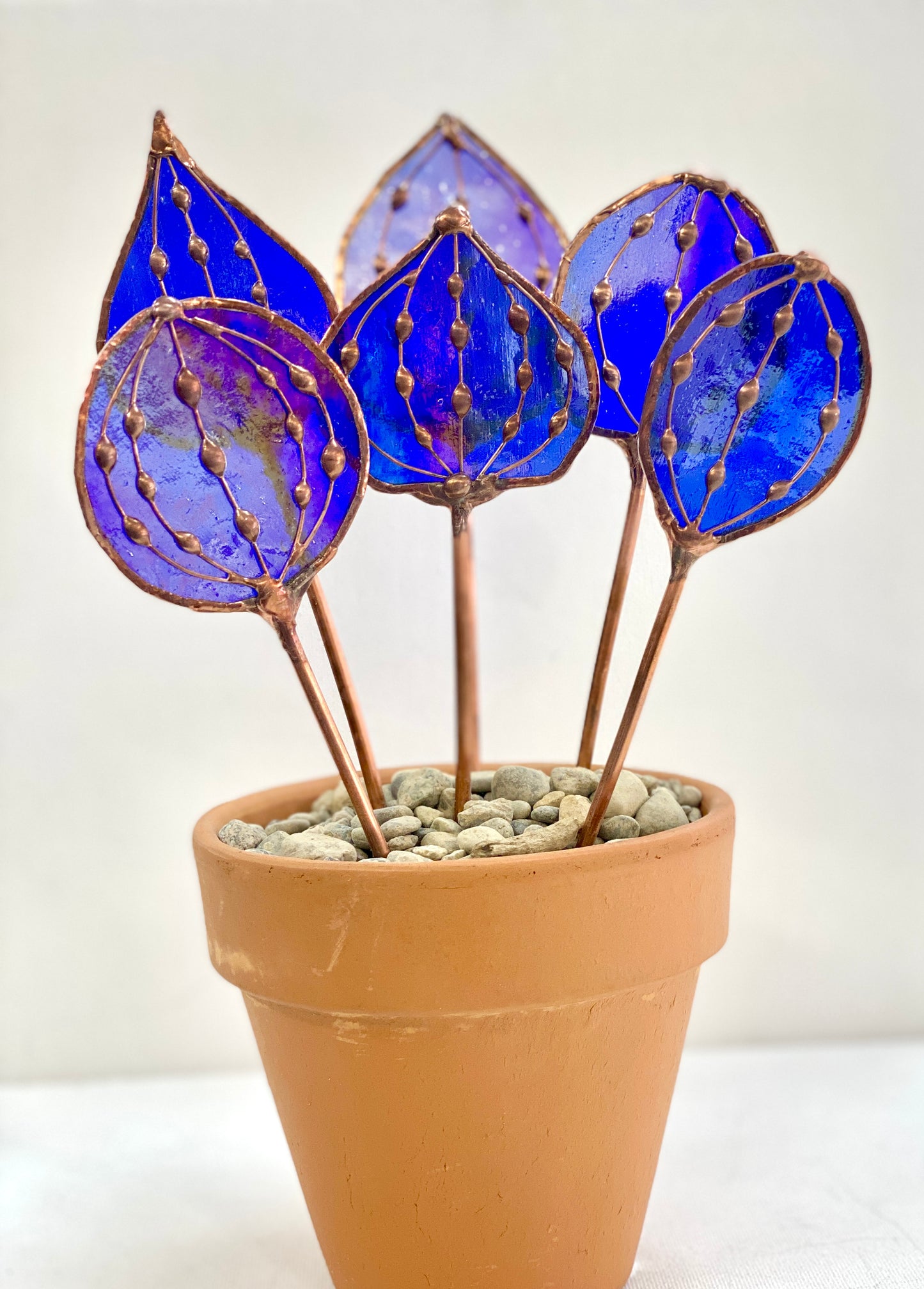 Blue Wildflowers