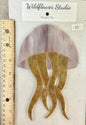 KIT-Jellyfish