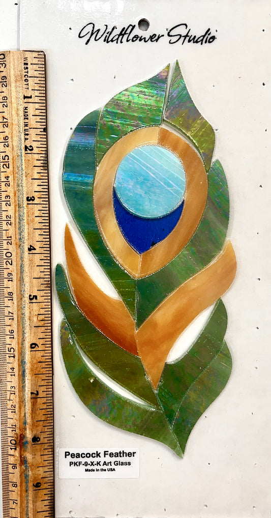 Kit- Peacock Feather