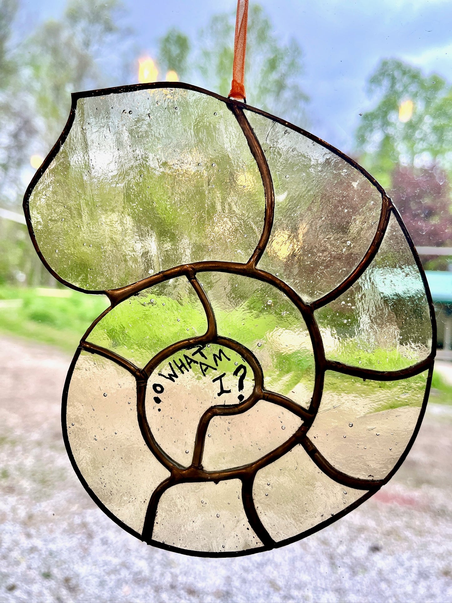 Glass Class for Gender Queer: What Am I? suncatcher