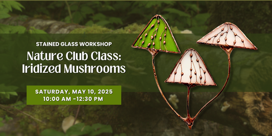 5/10: Nature Club Class: Iridized Mushrooms