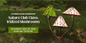 5/10: Nature Club Class: Iridized Mushrooms