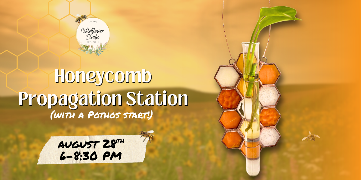 8/28/26- Honeycomb Propagation Station (with a Pothos start!) 6p-8:30p