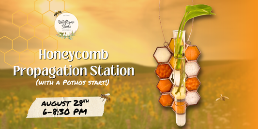 8/28/26- Honeycomb Propagation Station (with a Pothos start!) 6p-8:30p
